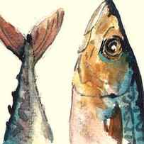 Mackerel fishes by Juan Bosco