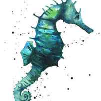 Seahorse in Teal by Alison Fennell