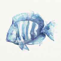 Gentle Fish by Mauro DeVereaux