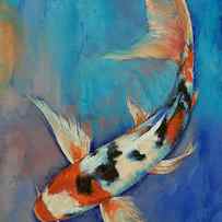 Sanke Butterfly Koi by Michael Creese