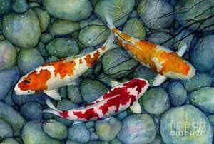 Fish Paintings