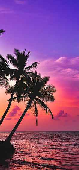 Best Sunset iPhone 12 , Purple Beach Sunset iPhone HD phone wallpaper