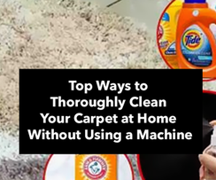 Top Ways to Thoroughly Clean Your Carpet at Home Without Using a Machine