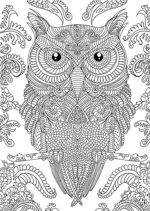 Complex Owl Coloring Pages for Adults