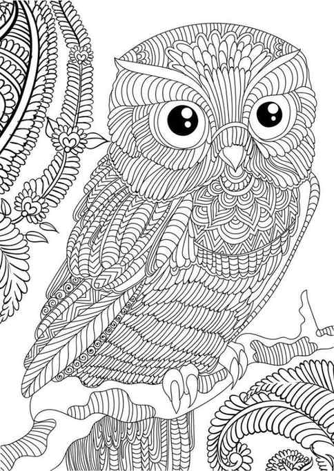 Free Printable Adult Coloring Owl