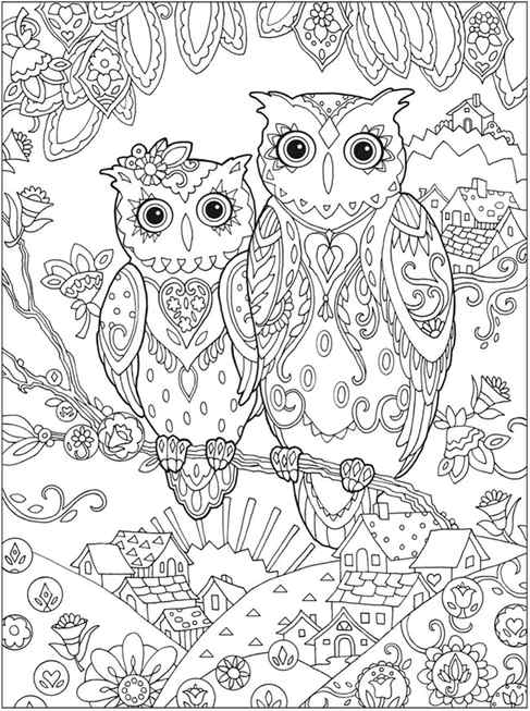 Detailed Owl Coloring Pages
