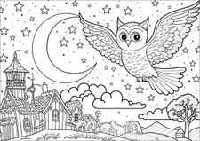Owl, moon, stars and pretty village