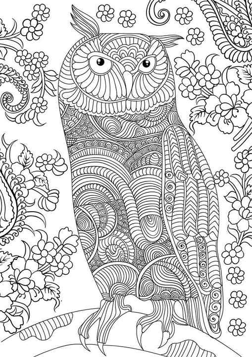 Free Advanced Owl Coloring Pages for Adults