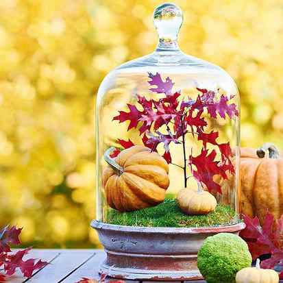 Fall decorating with mini pumpkins in a jar