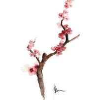Cherry blossom painting art print watercolor large poster by Joanna Szmerdt