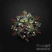 Vintage Cherry Plum Fruit Wreath on Wrought Iron Black n.0204 by Holy Rock Design
