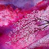 Cherry Blossoms by Hailey E Herrera