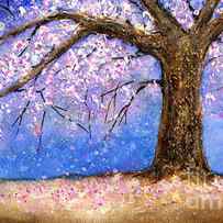 Cherry Blossom by Hailey E Herrera