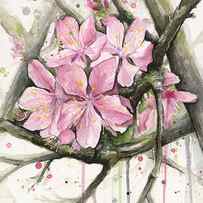 Cherry Blossom by Olga Shvartsur