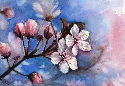 Wall Art - Painting - Cherry Blossoms by Olga Shvartsur
