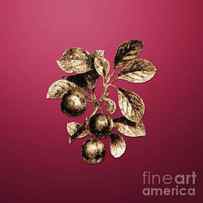 Gold Cherry Plum on Viva Magenta n.02717 by Holy Rock Design