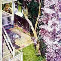 Courtyard with Cherry Blossoms by Mick Williams