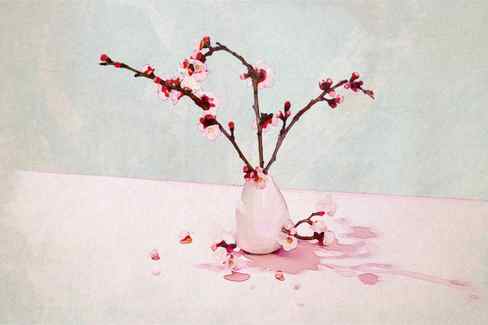 cherry blossom pink jar