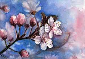 Cherry Blossom Watercolor Paintings