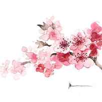Cherry blossom branch watercolor art print painting by Joanna Szmerdt