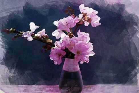 cherry blossom black pink blue