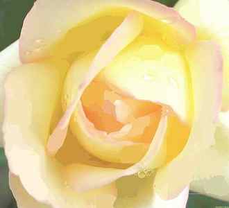 Wall Art - Painting - Pastel Yellow Rose by Rosemarie E Seppala