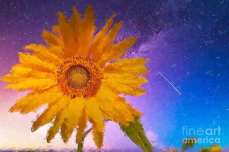 Wall Art - Painting - Night summer landscape with sunflowers field and Milky Way Galax by Jacek Dudzinski