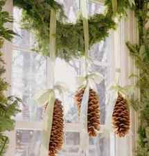 Pine Cones Hanging from Window