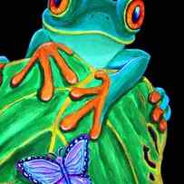 Red-eyed tree frog and butterfly by Nick Gustafson