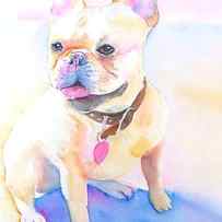 French Bulldog Watercolor by Carlin Blahnik CarlinArtWatercolor
