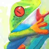 Red Eyed Tree Frog - Costa Rica by Carlin Blahnik CarlinArtWatercolor