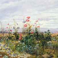 Wildflowers with a View of Dublin Dunleary by A Nicholl