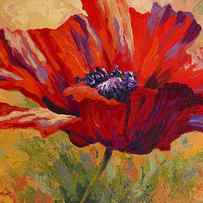 Red Poppy II by Marion Rose