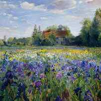 Evening at the Iris Field by Timothy Easton