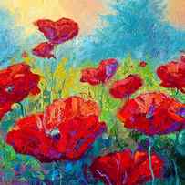 Field Of Red Poppies by Marion Rose
