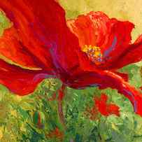 Red Poppy I by Marion Rose