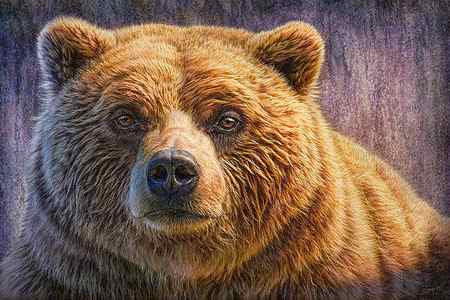 Wall Art - Painting - Grizzly Portrait by Phil Jaeger