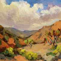 Spring at Joshua Tree by Diane McClary