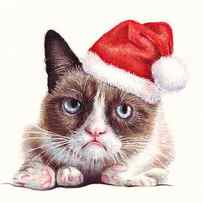 Grumpy Cat as Santa by Olga Shvartsur
