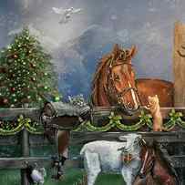 Country Christmas by Eileen Herb-witte
