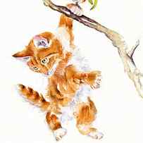 Hanging Around - naughty kitten by Debra Hall