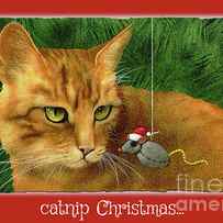 Catnip Christmas. by Will Bullas