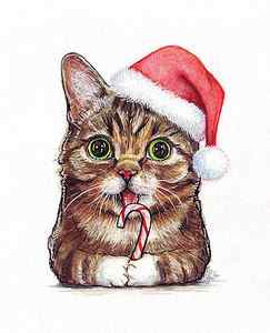 Wall Art - Painting - Cat Santa Christmas Animal by Olga Shvartsur