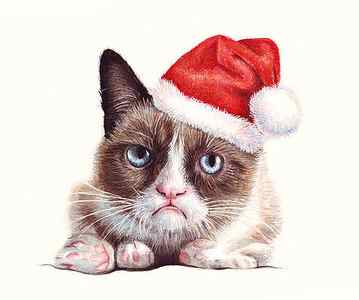 Wall Art - Painting - Grumpy Cat as Santa by Olga Shvartsur