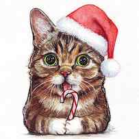 Cat Santa Christmas Animal by Olga Shvartsur