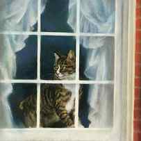 ALICE THRU THE WINDOW by Laurie Snow Hein