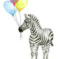 Baby Zebra Watercolor Animal with Balloons by Olga Shvartsur
