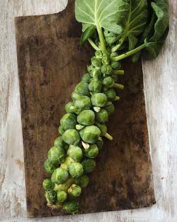a stalk of brussels sprouts on a wooden serving board