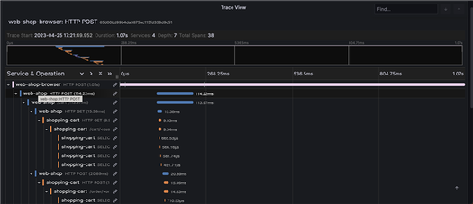 Screenshot of the trace view