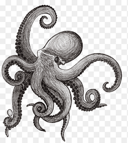 Octopus Drawing Squid Tentacle, octapus, ink, sticker png thumbnail